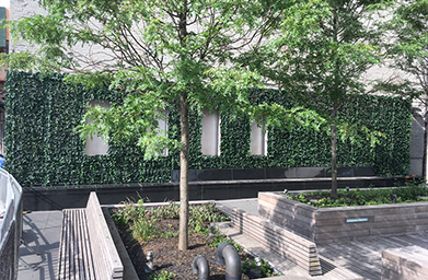 Lush greenery. Ivy Wall for a Hotel Lounge Area in New York City