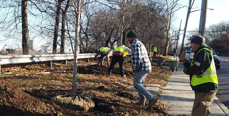 Frequently Asked Questions about sustainable commercial, home tree care & planting services in NJ