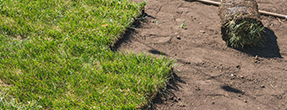 Best turf and sod installation services in New York & New Jersey